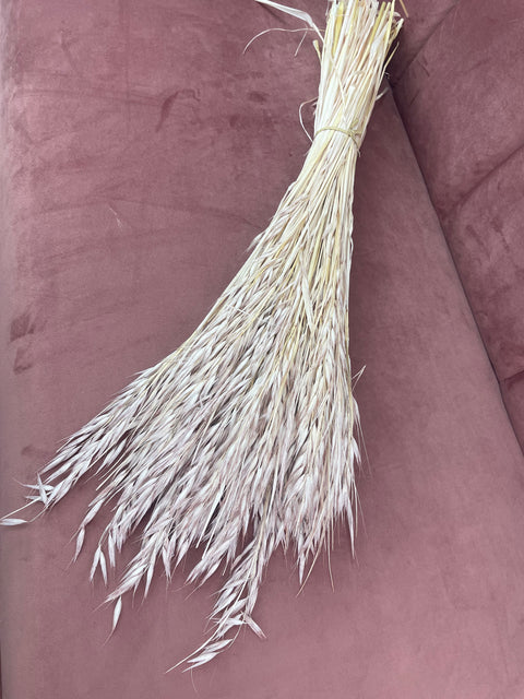 Avena seca rosa palo